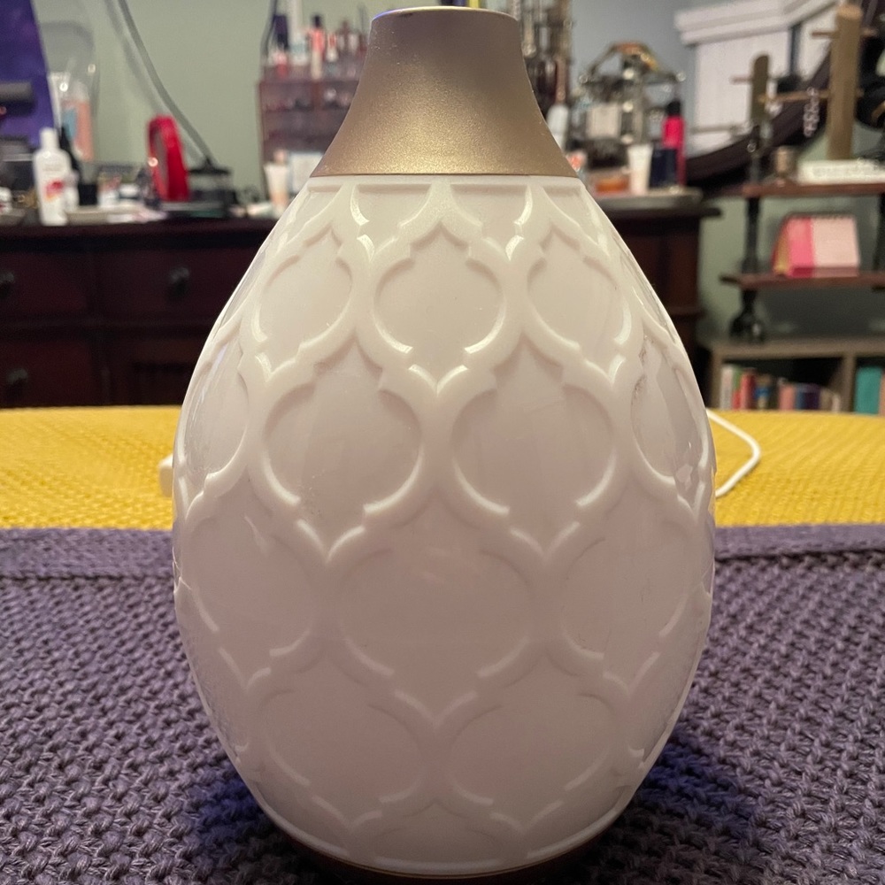 Young Living Desert Mist Essential Oil Diffuser